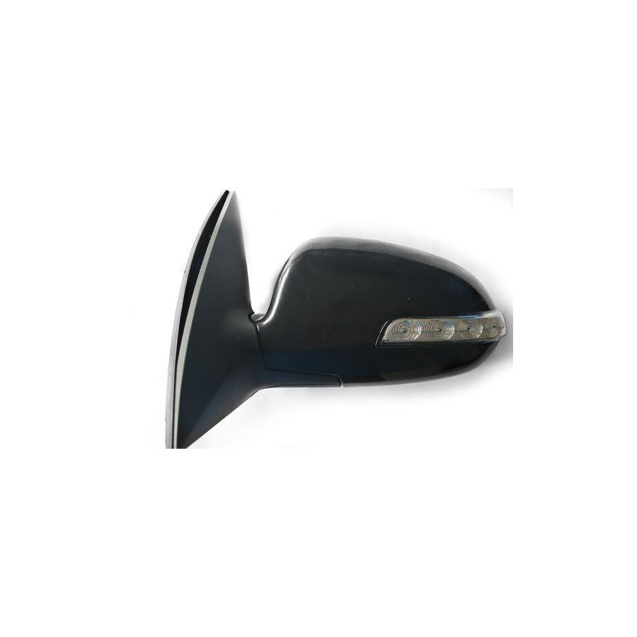 Abakus 1513M11 Wing Mirror For Hyundai I30 | ML Performance EU