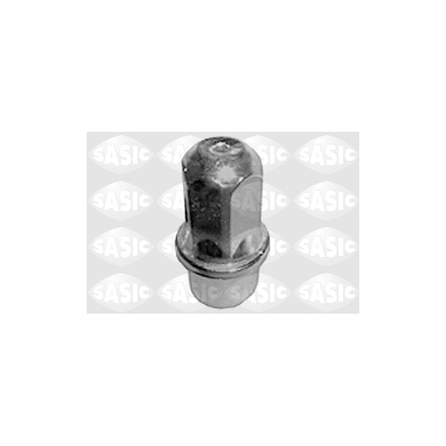 SASIC 4055335 Wheel Nut for PEUGEOT 505 | ML Performance EU Car Parts