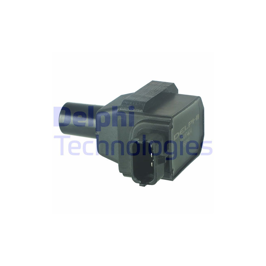 Delphi Gn10404-12B1 Ignition Coil