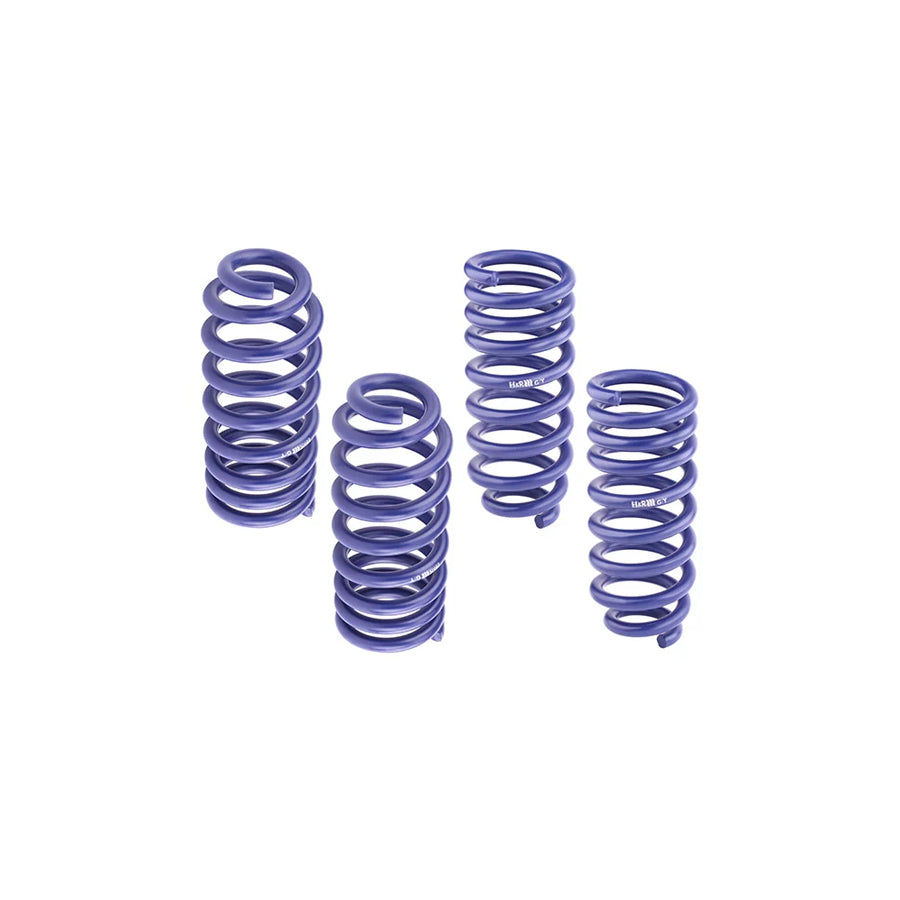 H&R 28757-4 Performance Lowering Springs