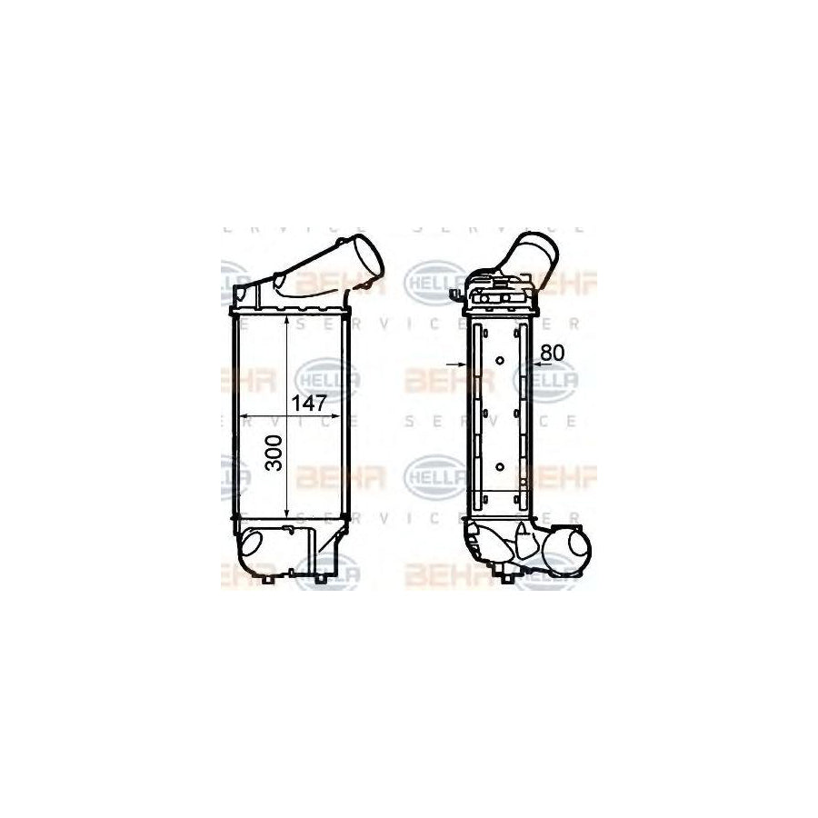 Hella 8ML 376 760-731 Intercooler