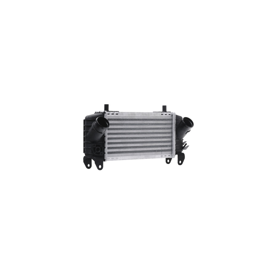 Hella 8ML 376 782-261 Intercooler