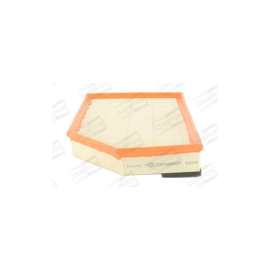 Champion CAF100860P Air Filter