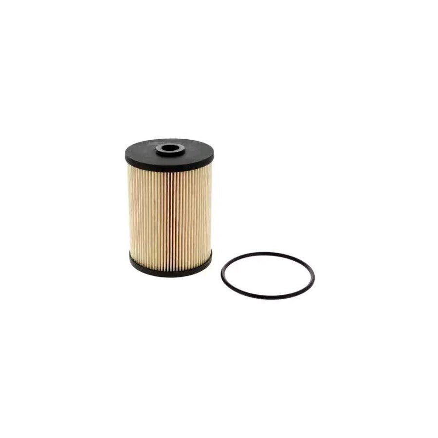 Champion CFF100447 Fuel Filter