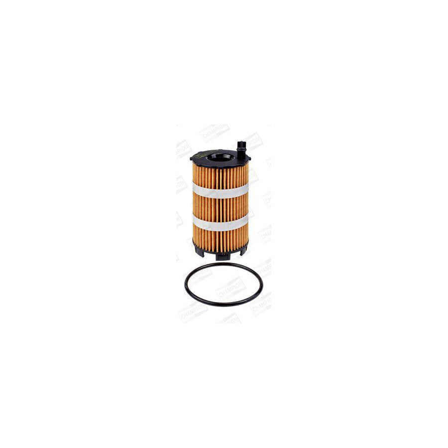 Champion COF100604E Oil Filter