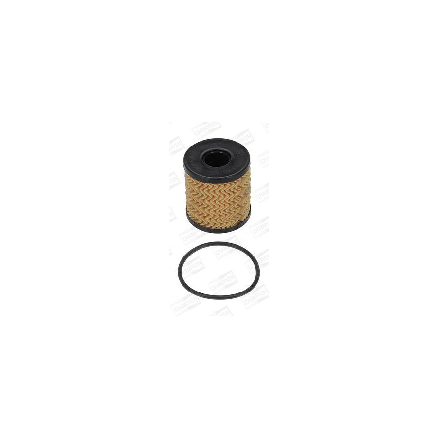 Champion COF100787E Oil Filter