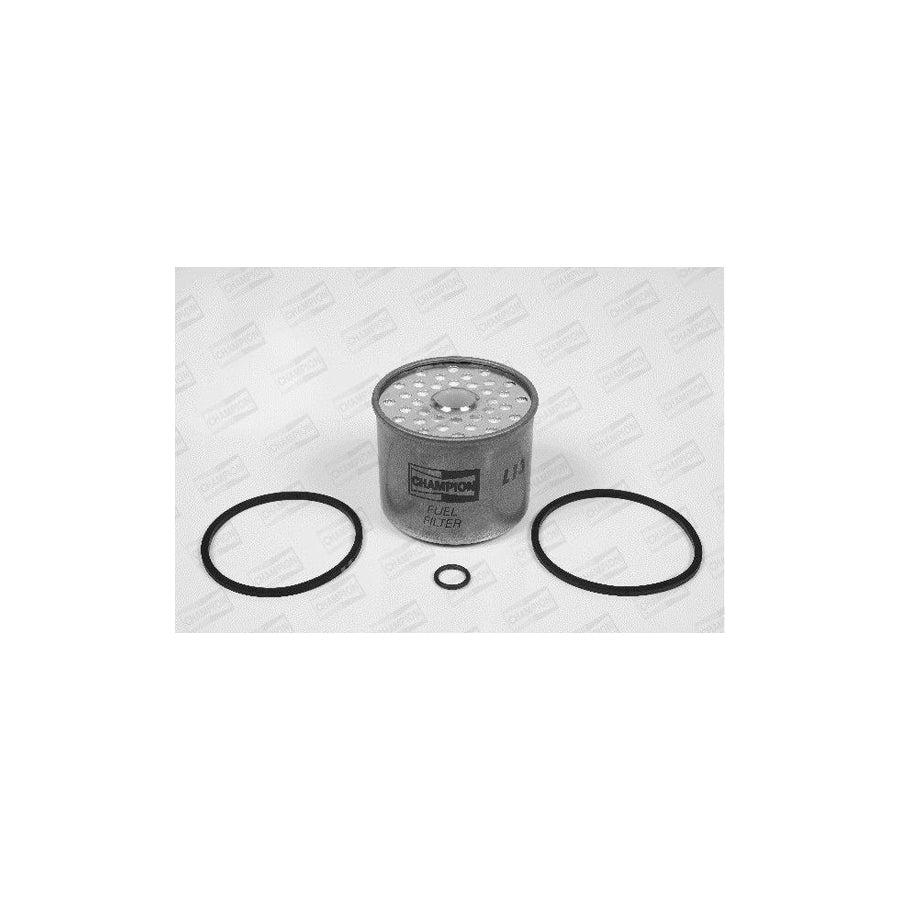 Champion L131/606 Fuel Filter