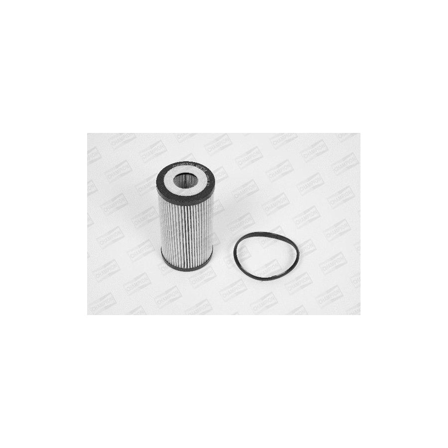 Champion Eon Titan Xe534/606 Oil Filter