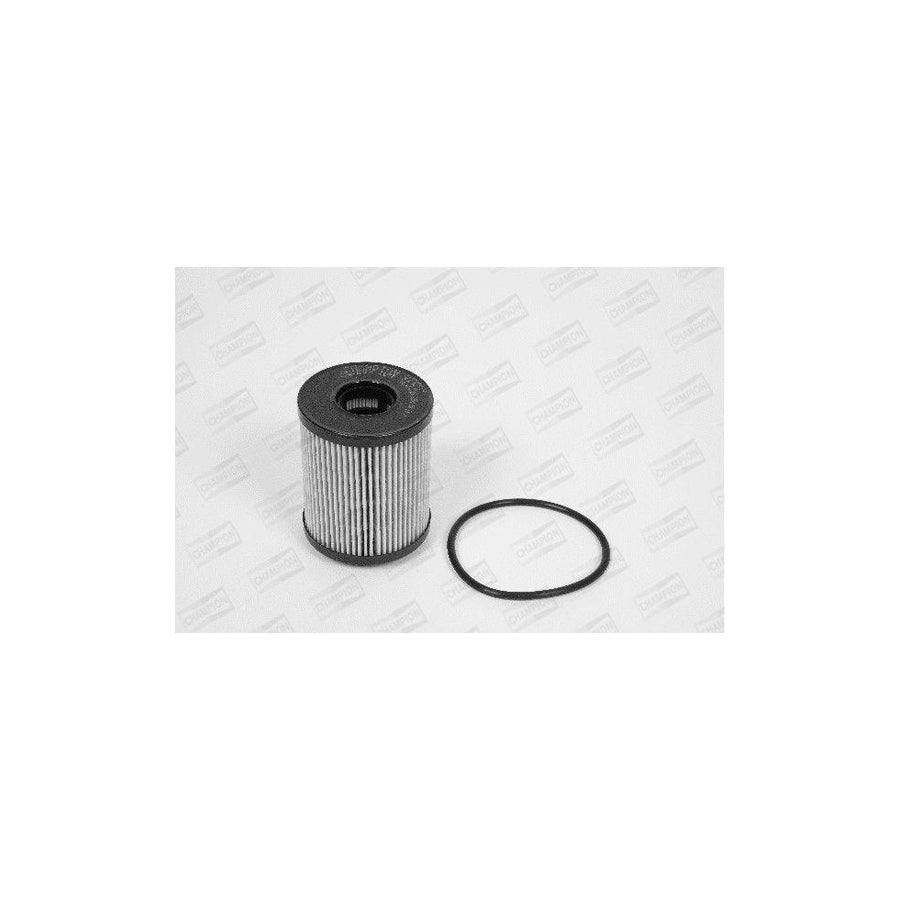 Champion Eon Titan Xe531/606 Oil Filter