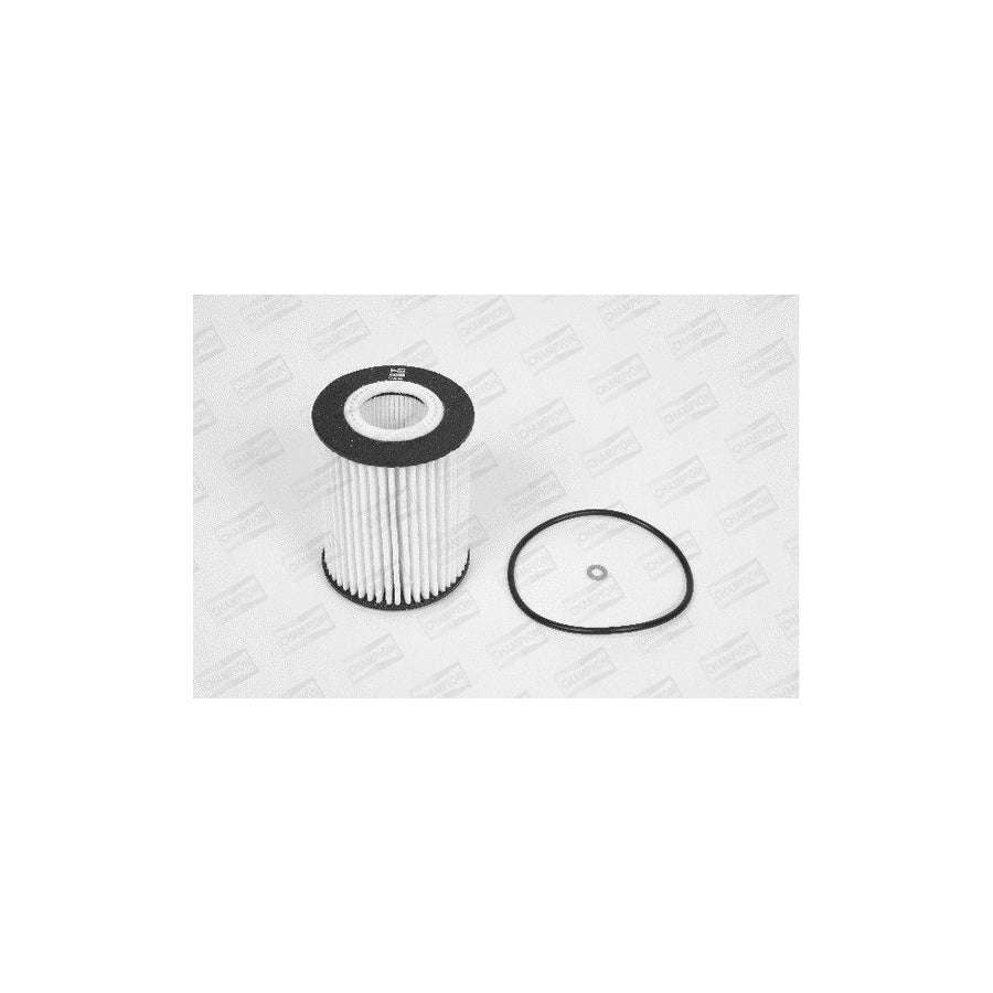 Champion Xe566/606 Oil Filter