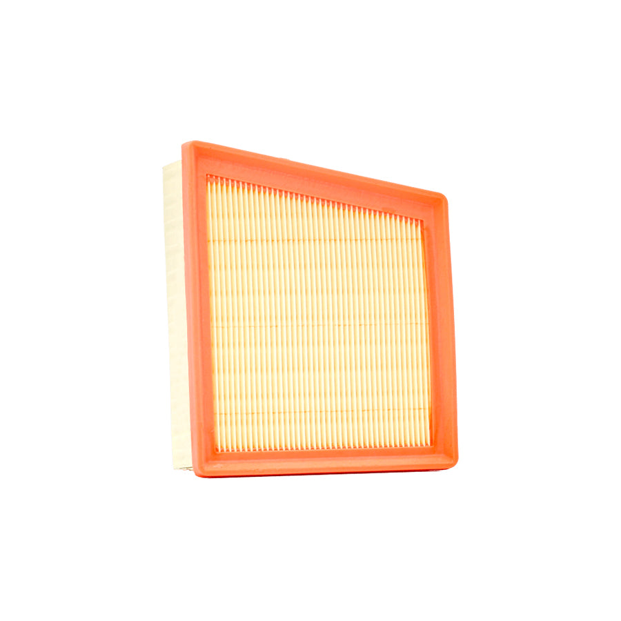 Champion CAF100559P Air Filter