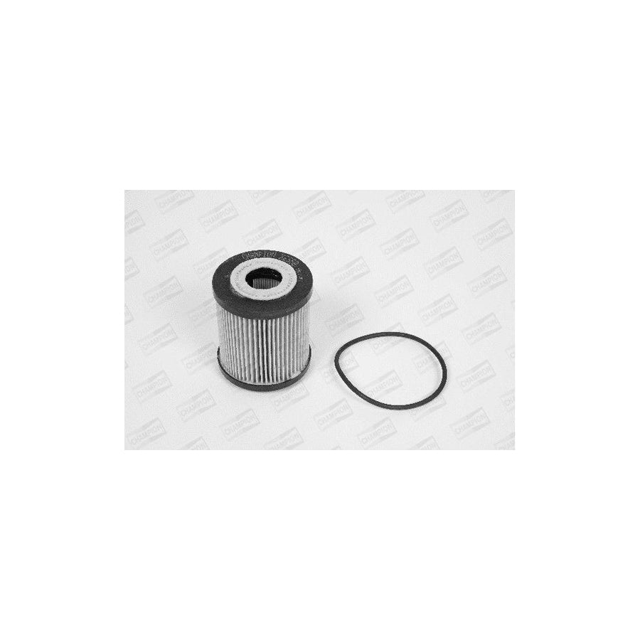 Champion Xe558/606 Oil Filter