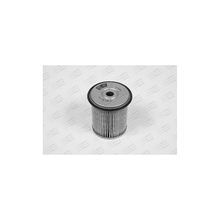 Champion L121/606 Fuel Filter