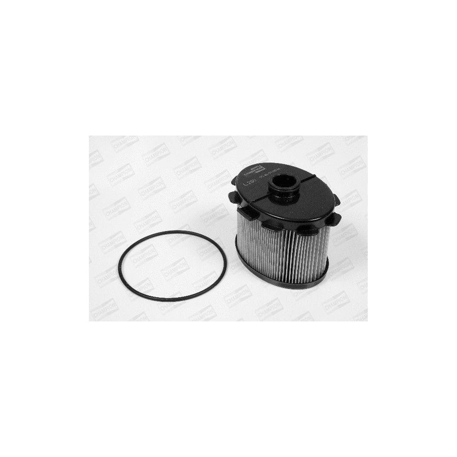 Champion L250/606 Fuel Filter