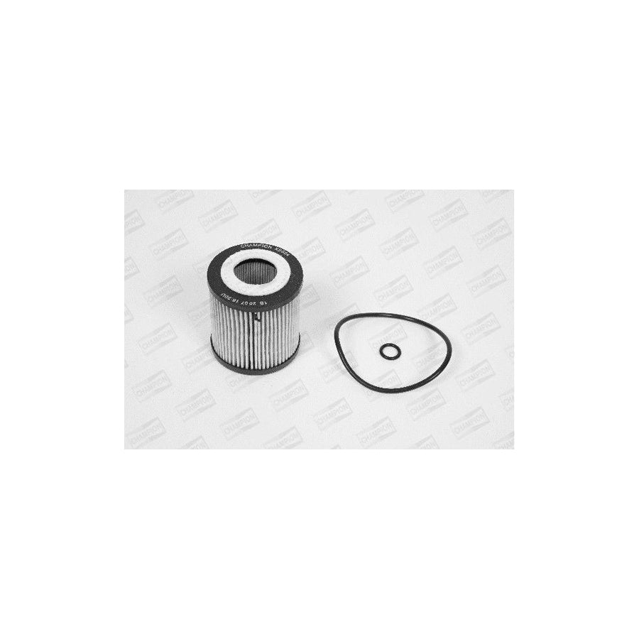 Champion Xe524/606 Oil Filter